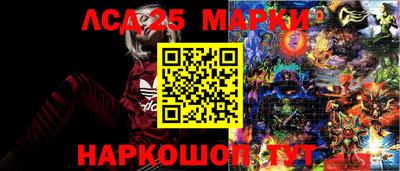 крисы Донецк